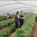 민경농장 이미지