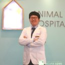 24시스마트동물병원(신사본점) 이미지