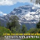 Marty Robbins - Let Me Live In Your World 이미지