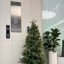 임이석테마피부과의원 이미지