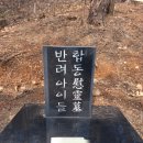 경북반려동물장례식장 이미지