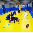 용인대덕양유도관 네이버블로그