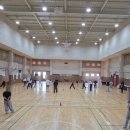 무궁화체육관 | 서울 이색놀거리 강추 어른들의운동회 내돈내산 후기