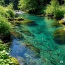 씨유(CU) 가평쉼터점 이미지