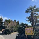 남원읍-18 이미지