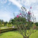 미사한강2호공원 | 하남 아이랑 갈만한곳 미사한강공원 2호 산책