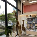 평촌센트럴소아청소년과의원 이미지