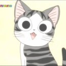 미니어몰