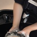 메소드짐 | 순천 두피관리 전문점 WT메소드 순천점 헤드스파 스케일링 후기