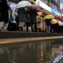 오렌지라임약국 이미지