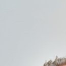 코아스이비인후과의원 이미지