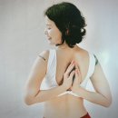 조선석사태권도 이미지