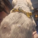 박성식동물병원 이미지