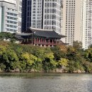 솔마루길 신선산 이미지