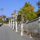 충렬초등학교 이미지