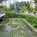 갈매중앙공원 이미지