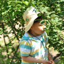 성암어린이집 이미지