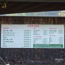 539민박 | 가평 빠지 비버네선착장 무제한바베큐 놀이기구 무제한 솔직후기ㅣ뚜벅이 빠지 추천