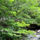 정수산장펜션 이미지