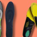 렉스플라이 이미지