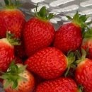 송라아쿠아 이미지