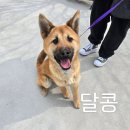 달콩이 Daum카페