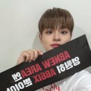댕댕이 카페 Daum카페
