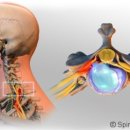 광화문참바른정형외과의원 이미지