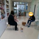 강아지정거장 - 서구 운천로 128 | 강아지정거장