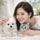 미유펫강아지분양고양이분양