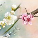 거제유배문학 「부매화도화동삽일병(賦梅花桃花同揷一甁)」 고뇌와 처세를 읊다 이미지