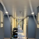 윈오락실 | 오브더시즈 오션뷰 객실, 크루즈 방문 꾸미기, 크루즈 구석구석과 정찬 후기, 무료 공연 인텐스(inTENse)