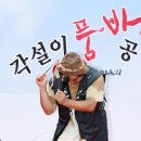 일로와 이미지