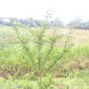 달나무농장 이미지