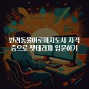 반려동물 아로마 테라피 자격증 | 반려동물아로마지도사 자격증으로 펫테라피 입문하기