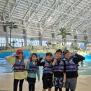 용인대 멘토 태권도장 이미지