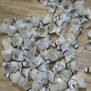 눈높이 배드민턴장 이미지