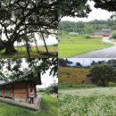 모양성숯불구이 이미지