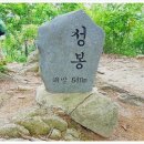 금산-43 이미지