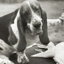 레토하우스(LETO HOUSE) 이미지