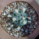 동울산우체국 이미지