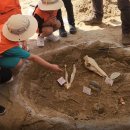 암사동선사유적박물관 이미지