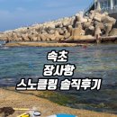 장사항 | [속초] 스노클링 장사항 솔직 후기 전복 멍게가? 샤워장 파라솔 대여