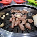 순희뒷고기