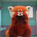 Turning Red 이미지