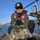 태안호스릴-17 | [공지] 봄 쭈꾸미낚시철 3월 시작 쭈꾸미금어기 언제? 태안쭈꾸미낚시 효과 좋은 채비