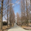 영남대학교 이미지