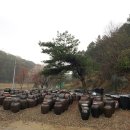 경상도김실네 이미지