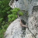 흙과소나무 이미지