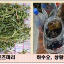 로즈마리세탁소 네이버블로그